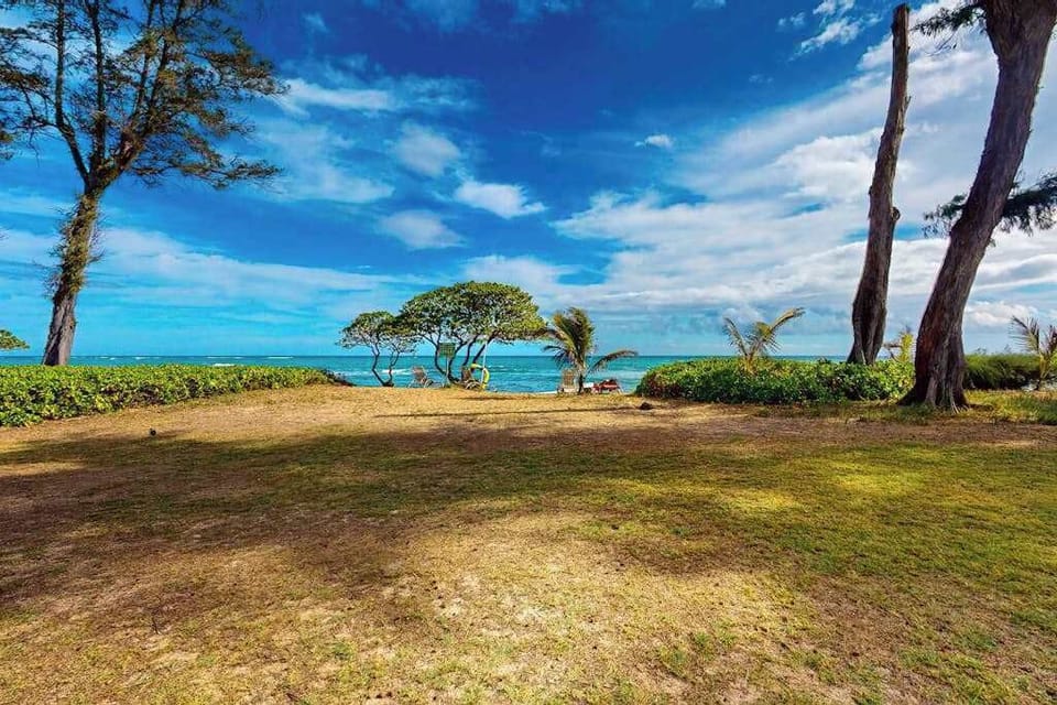 Oceanfront Lawn Steps From The Shore
