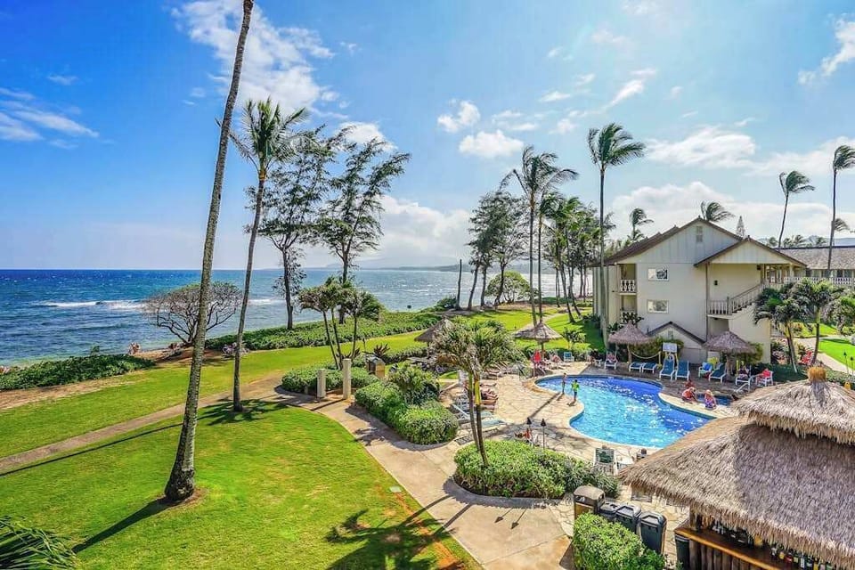 Elevated Views Of The Pacific Coast