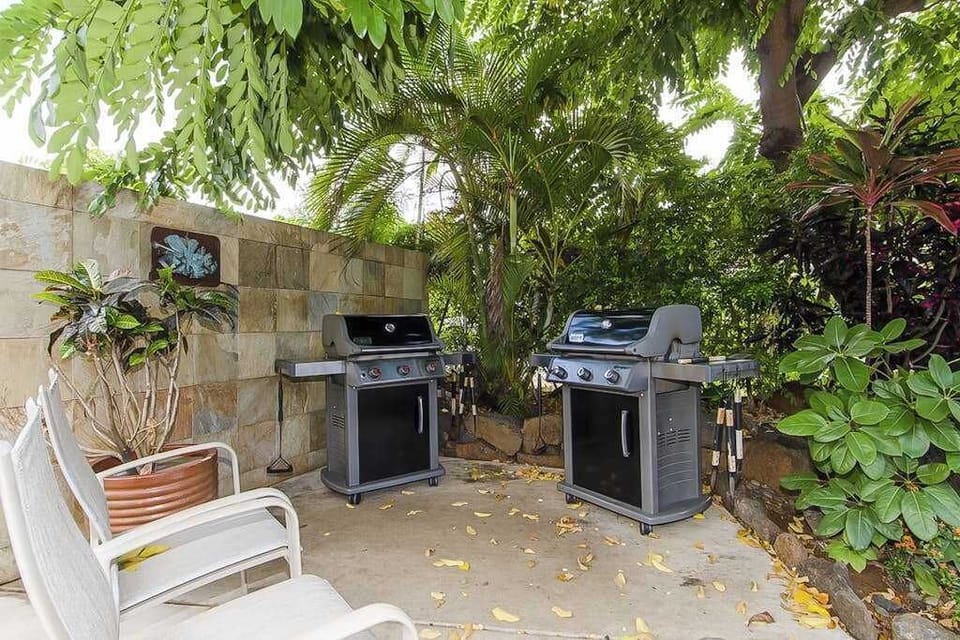 Gas grills for all of your fresh fish you will catch.
