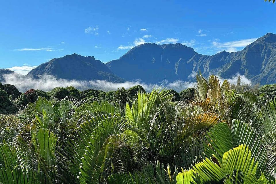 Lush Mountain Landscape