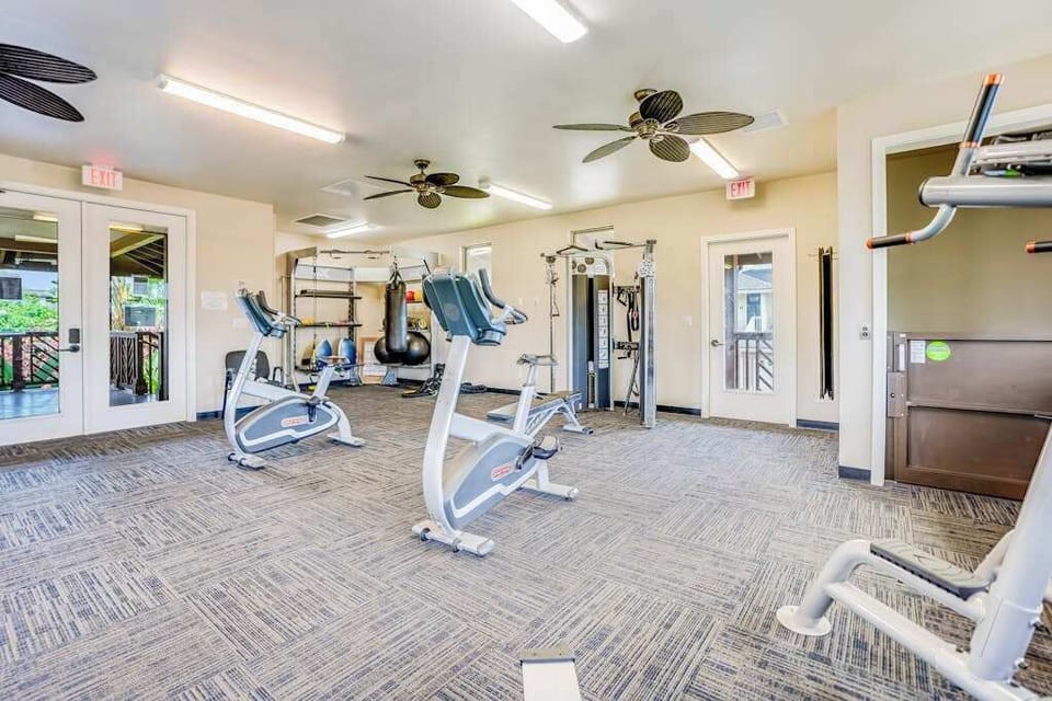 Bright Community Gym With Cardio Equipment