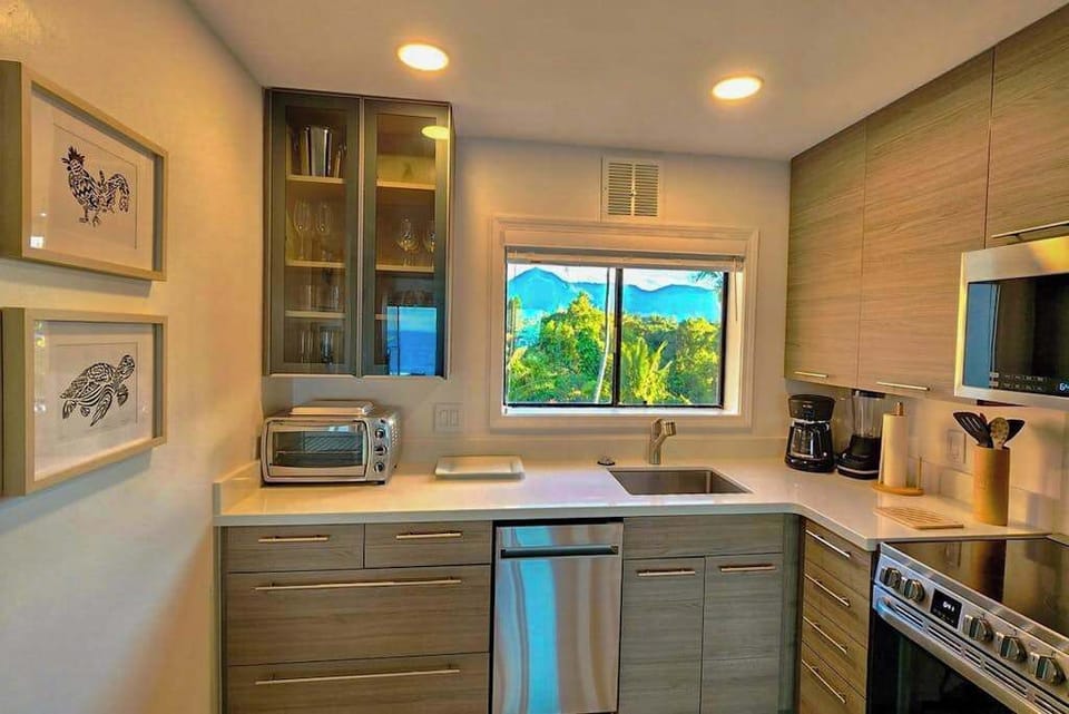 Compact kitchen features modern cabinetry appliances and tropical window views