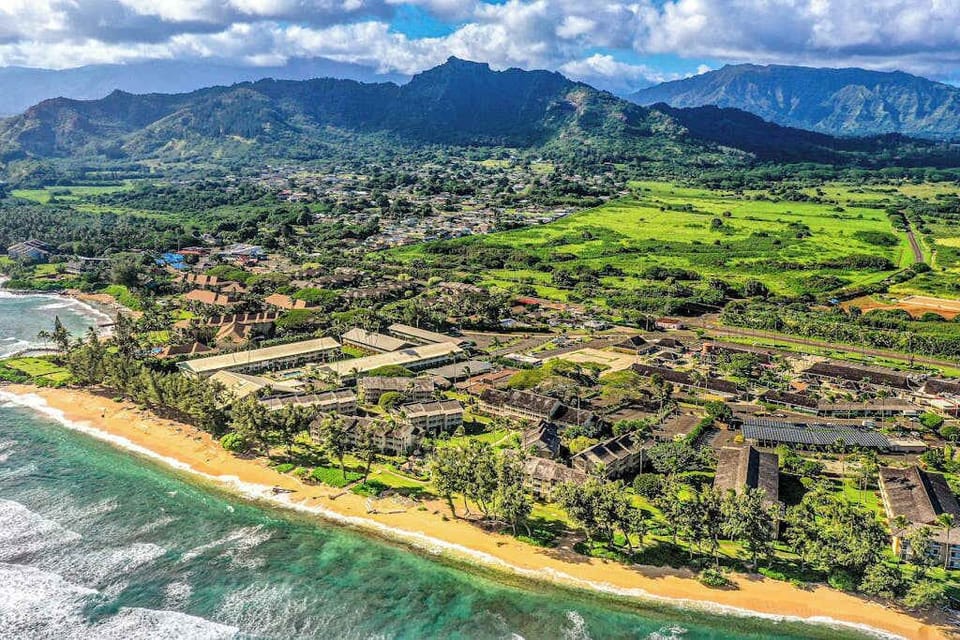 Aerial view of Kauai's lush greenery, forests, and traditional homes.