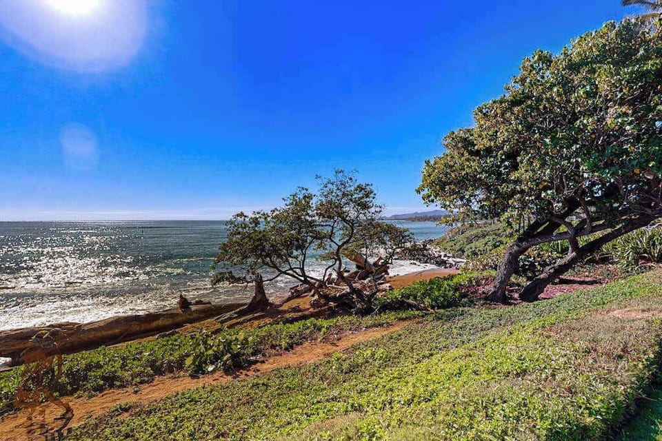 Coastal landscapes create the perfect setting for island relaxation.