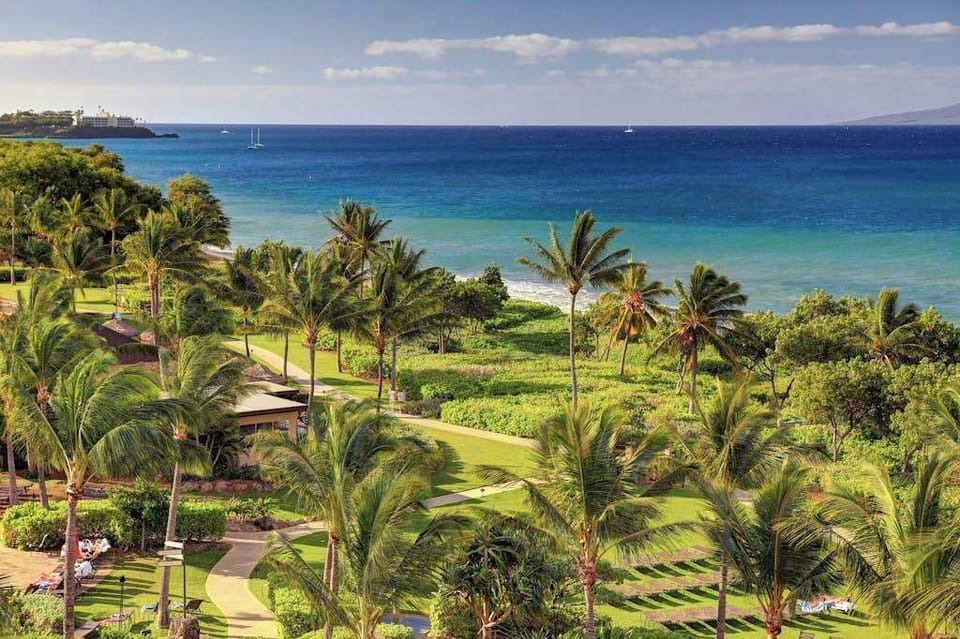 Ocean Views Framed By Palm Trees