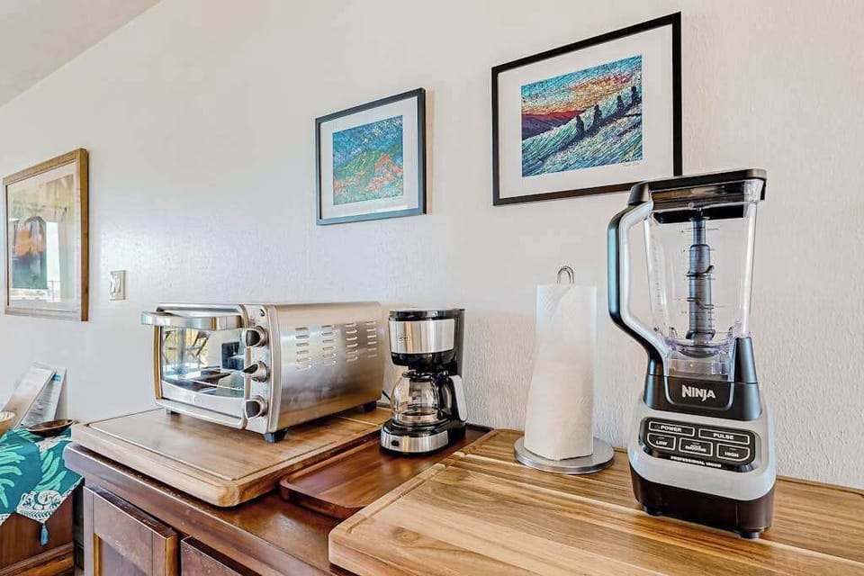 Kitchen area with toaster oven and Ninja Professional Blender