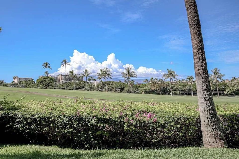 Lush Tropical Views All Around