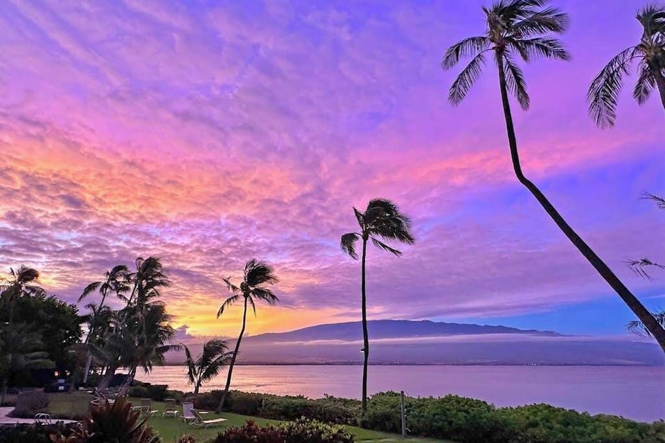 Amazing sunsets against the backdrop of swaying palm trees.