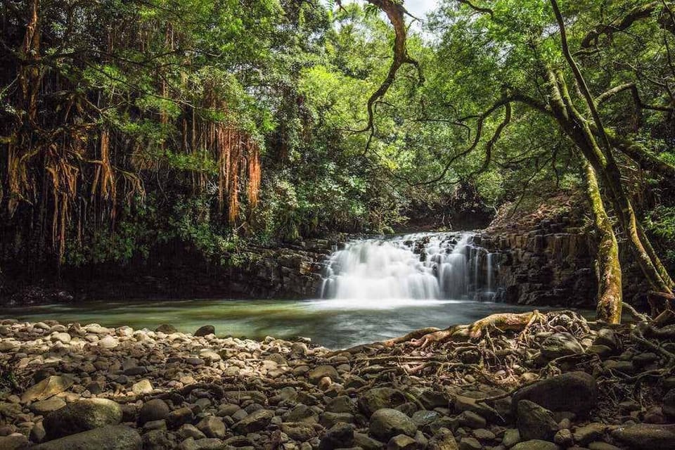 Tropical waterfall surrounded by lush rainforest