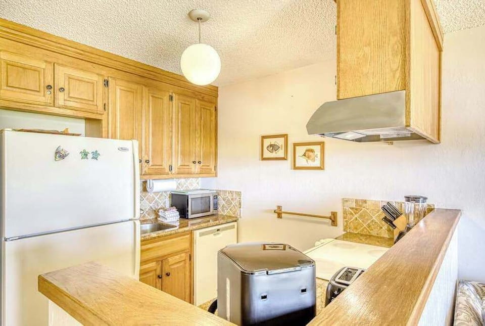 Well Equipped Island Kitchen