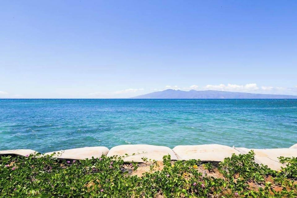 Panoramic Coastline And Island Views