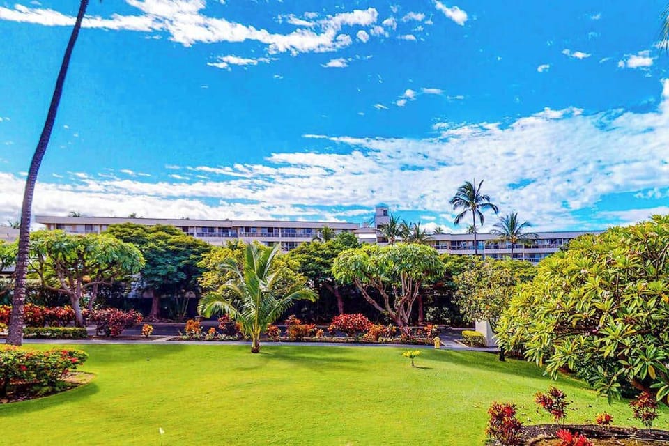 Enjoy the peaceful, park-like resort gardens surrounded by lush lawns, tropical plants, and beautiful palm trees