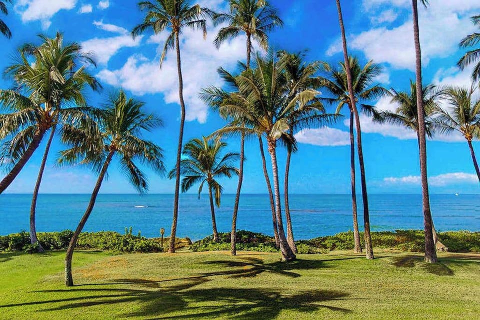 Palm Fringed Beachfront Paradise