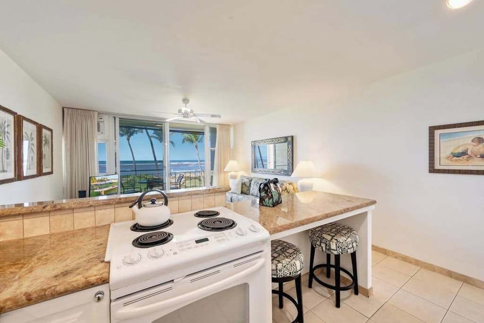 Kitchen Designed For Vacation Living