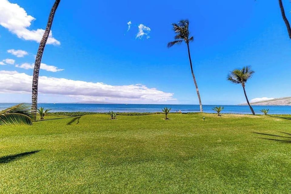 Endless Oceanfront Green Space