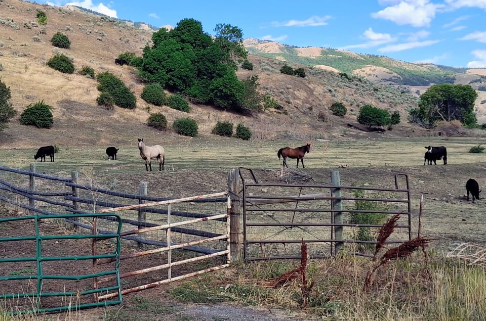 Scenic views across the street 