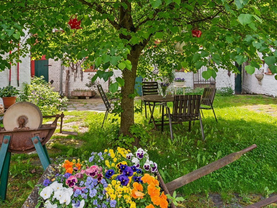 Garden [summer]
