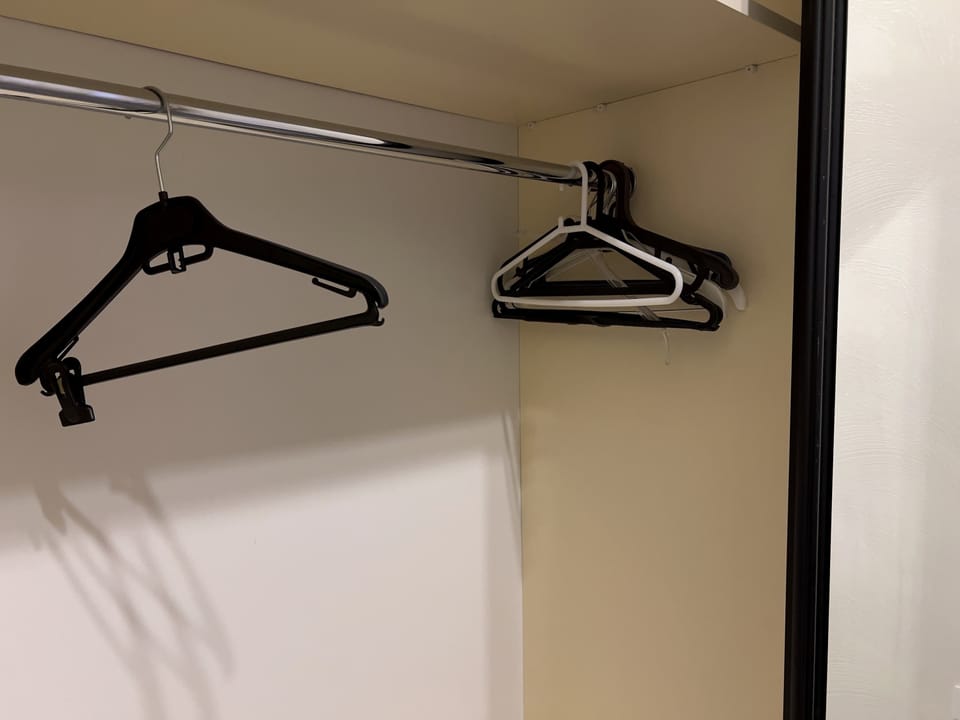 Built-in wardrobe with hangers for guest storage.