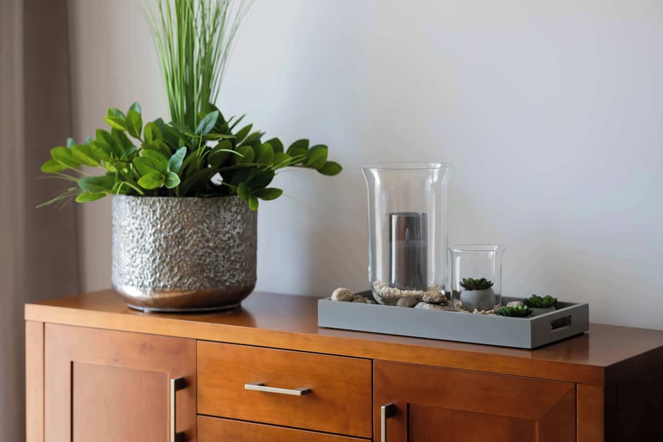 A wooden cabinet decorated with a green plant and simple accessories. The bright setting adds a fresh touch to the room.