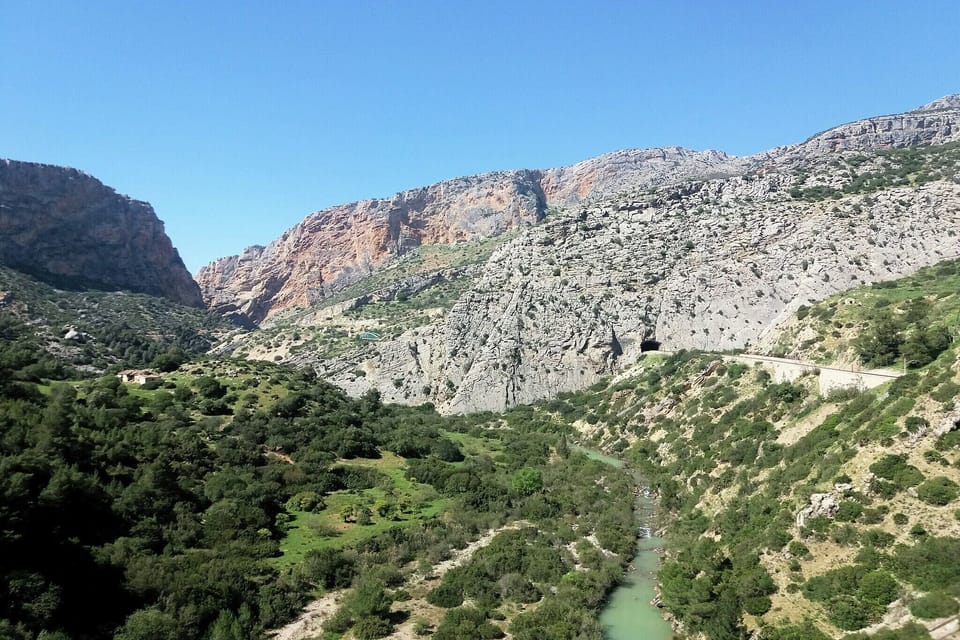 Region [summer] (>5 km)