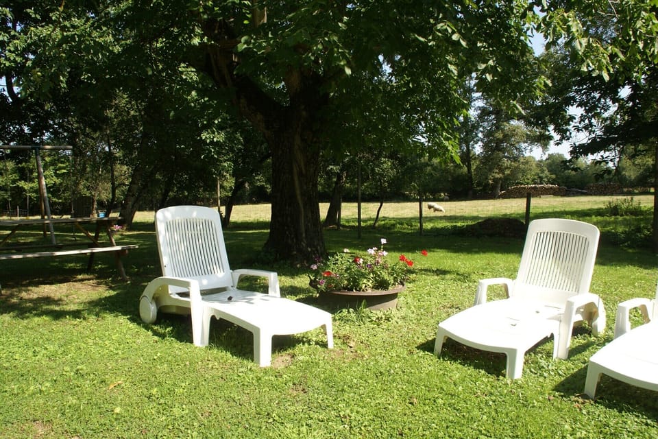 Garden [summer]