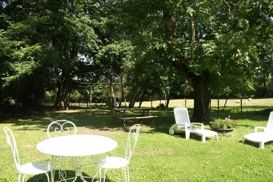 Garden [summer]