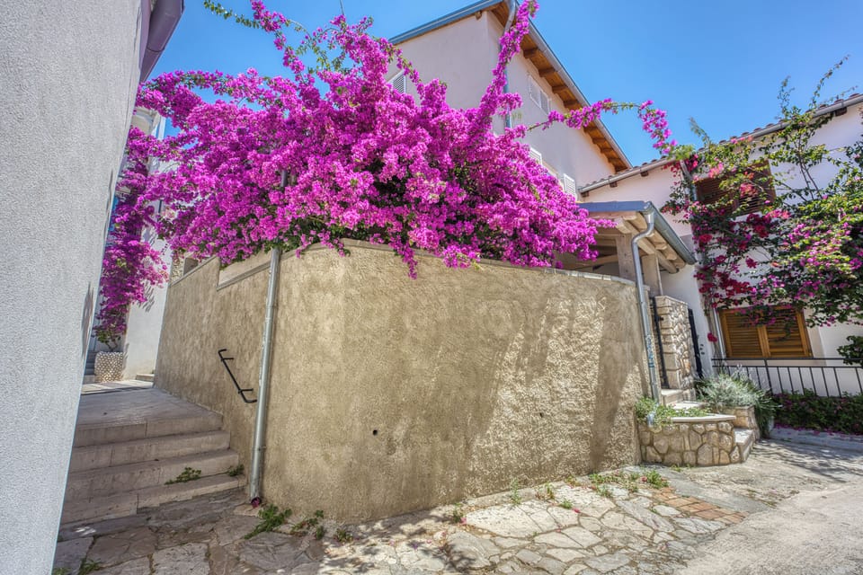 Family Studio (Bougainvillea Old Town Apartment /w) | Property grounds