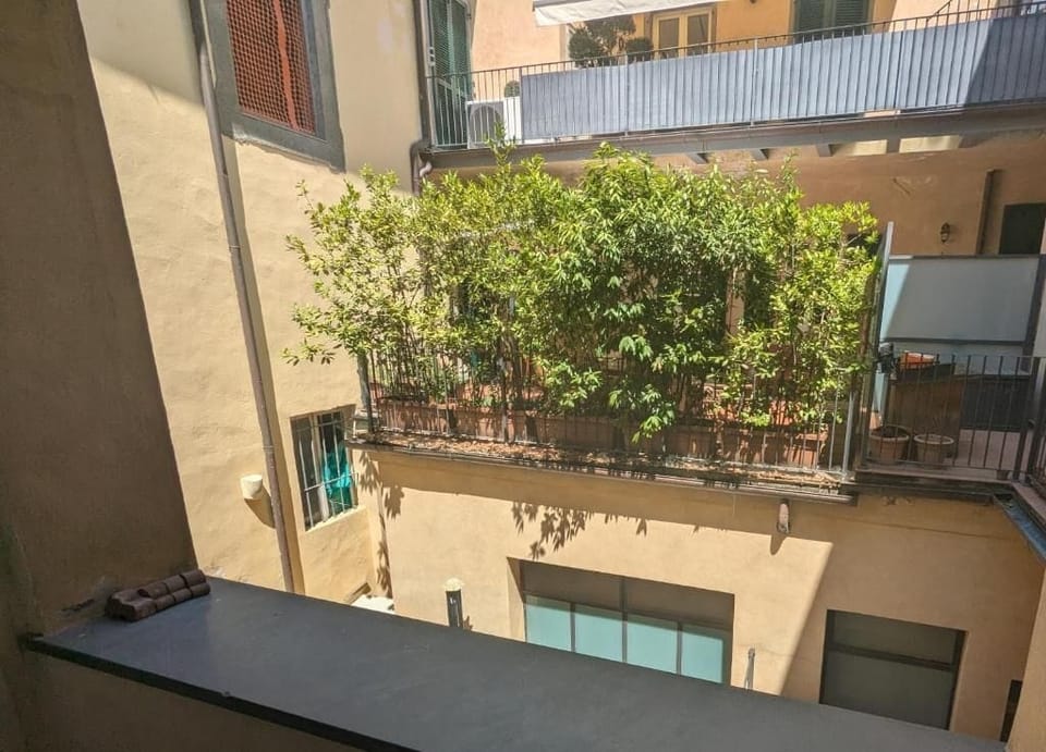 Triple Room, Patio, Garden View | Property grounds