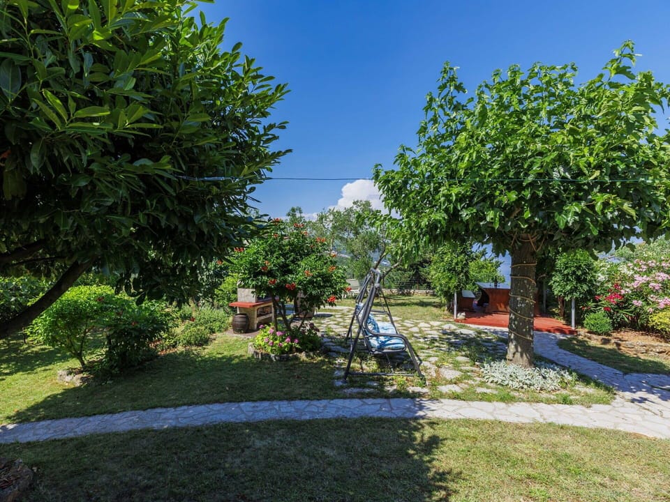 Furniture, Outdoor Furniture, Chair, Shade, Outdoor Table, Houseplant, Patio, Yard, Design, Balcony