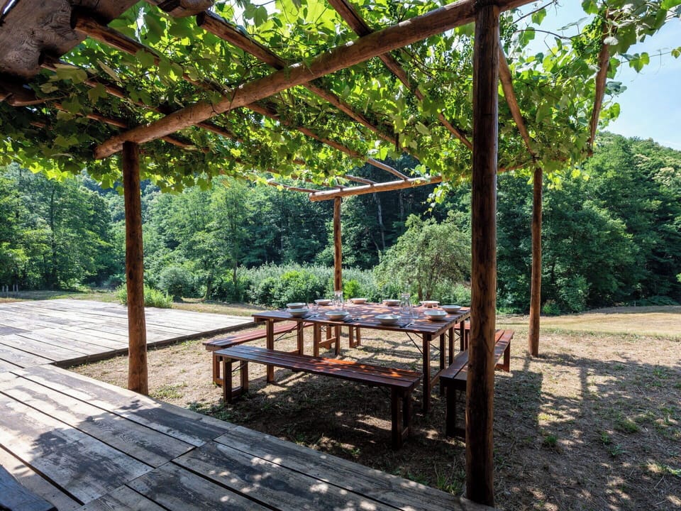 Furniture, Outdoor Furniture, Chair, Shade, Outdoor Table, Houseplant, Patio, Yard, Design, Balcony