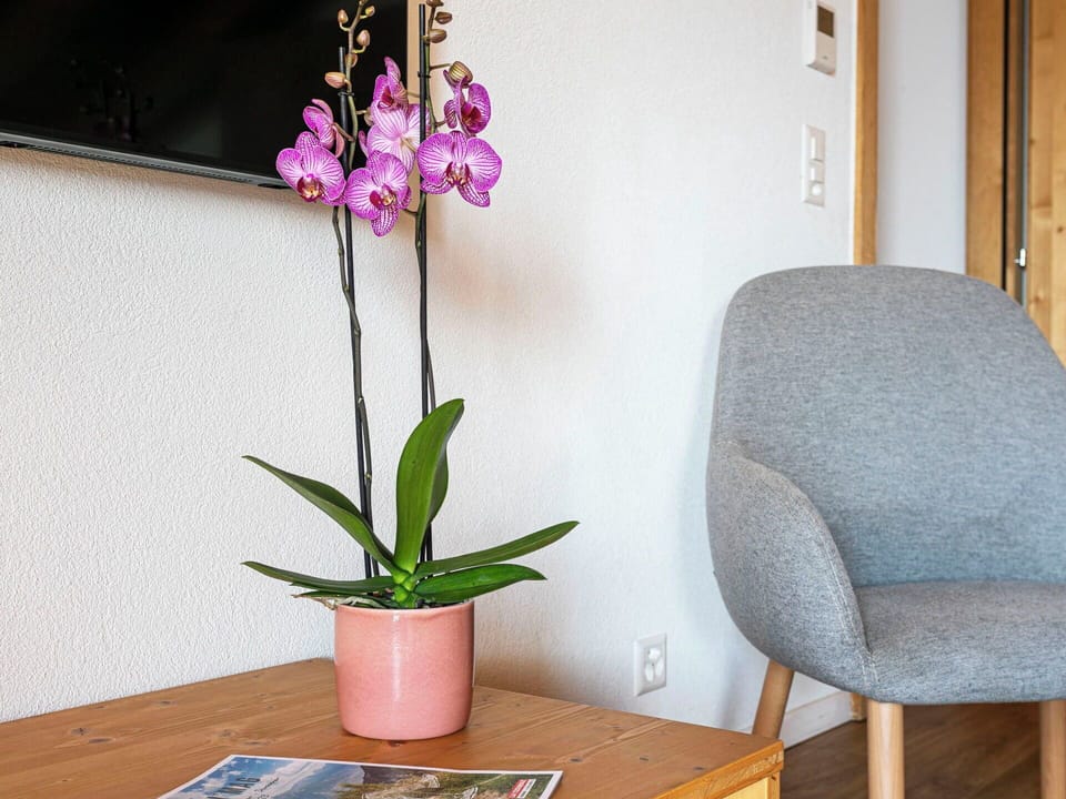 Furniture, Chair, Interior Design, Table, Room, Wood Stain, Balcony, Ceiling, Eco Hotel, Hardwood