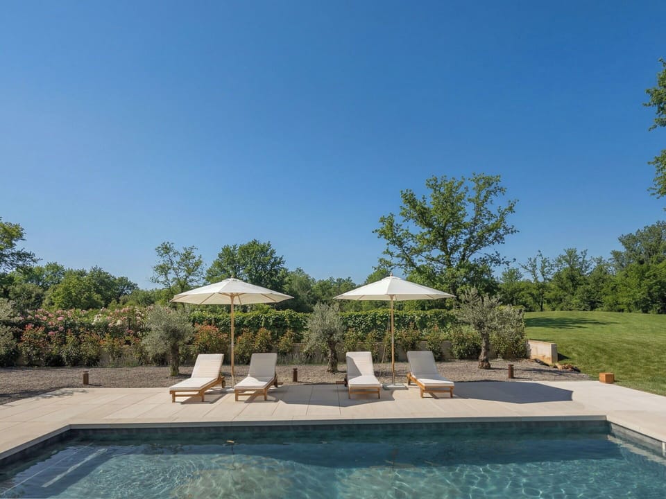 Furniture, Outdoor Furniture, Chair, Garden, Wood Stain, Lawn, Hardwood, Shade, Backyard