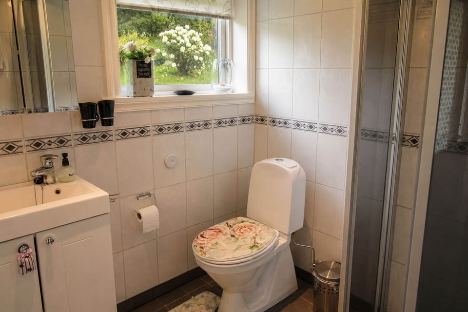 Shower, hair dryer, soap, shampoo