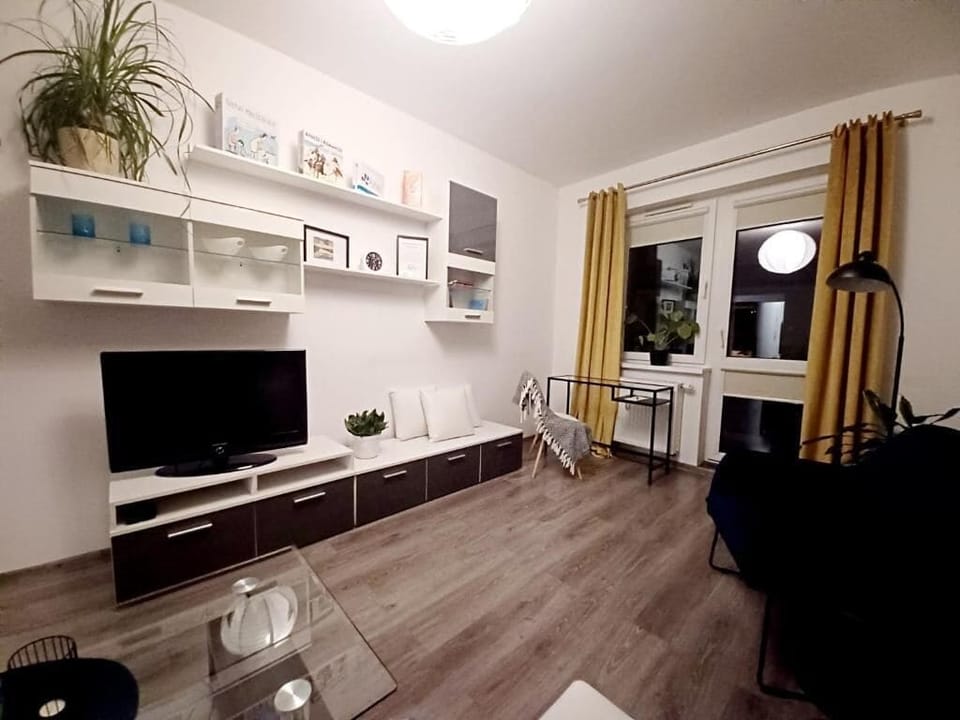 Flat-screen TV