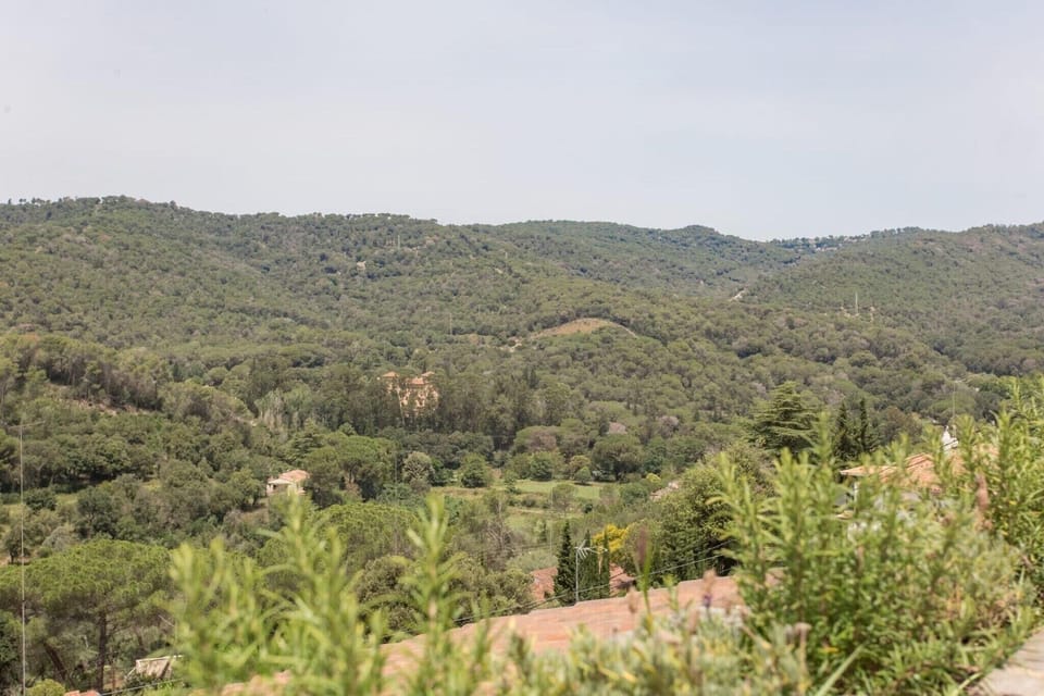 Immediate Surroundings [summer] (<1 km)