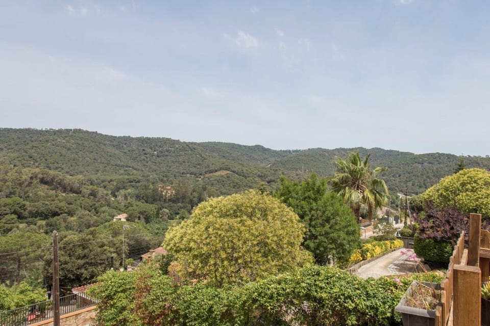 View from Holiday Home [summer]