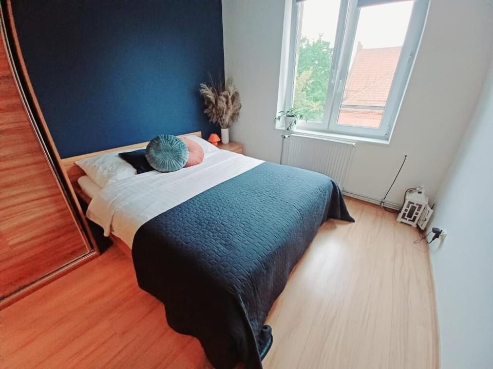 Iron/ironing board, WiFi (free)