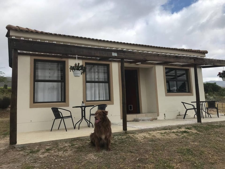 Villa, 2 Bedrooms, Accessible, Smoking | Exterior