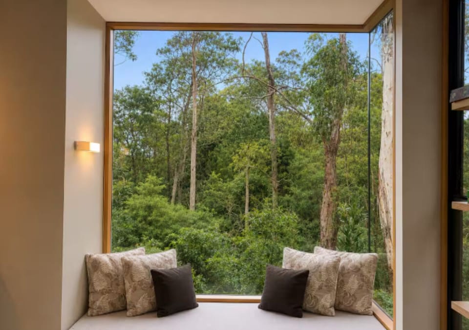 Cozy window seat with floor-to-ceiling forest views