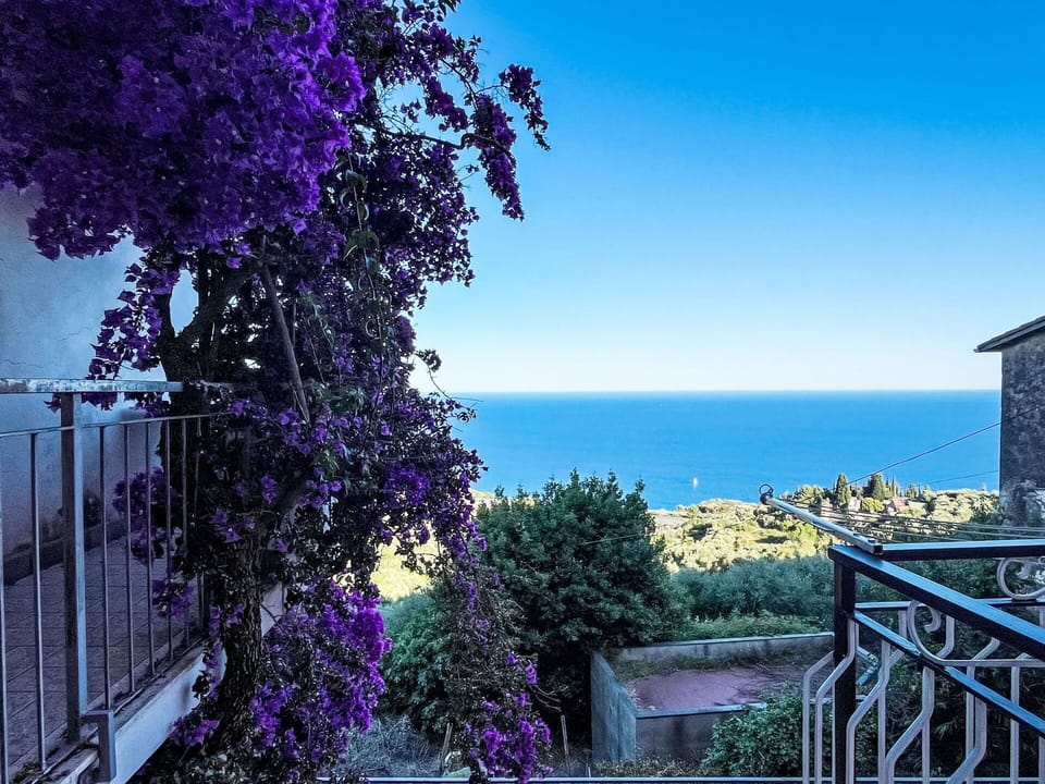 Residential Area, Apartment, Estate, Resort, Mansion, Balcony, Villa, Swimming Pool