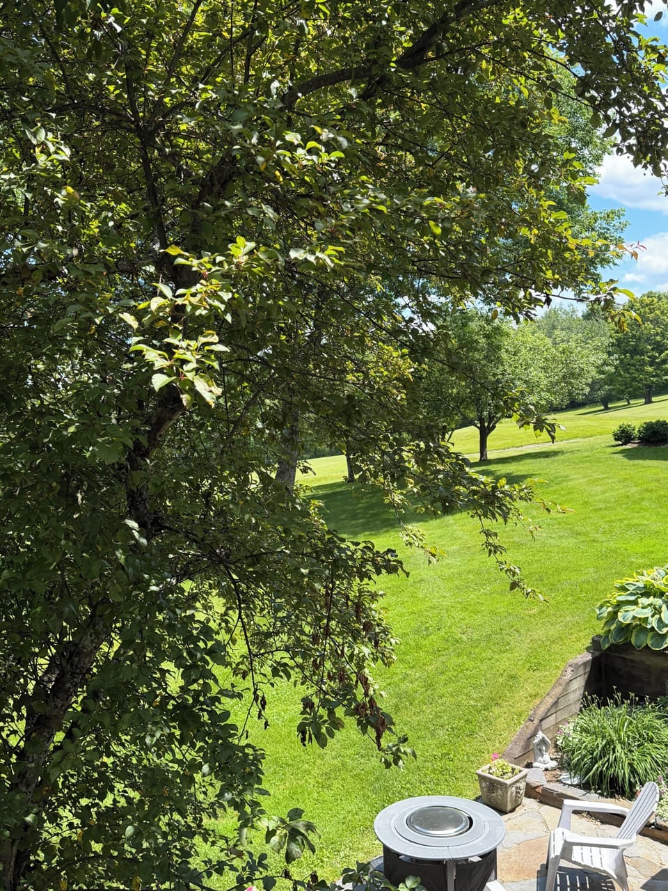 View from Deck