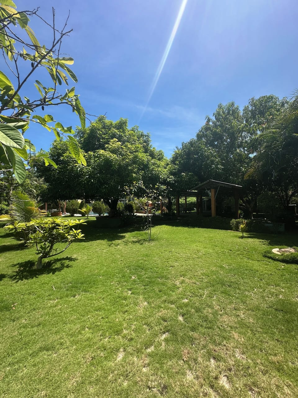 House, Garden View | Property grounds