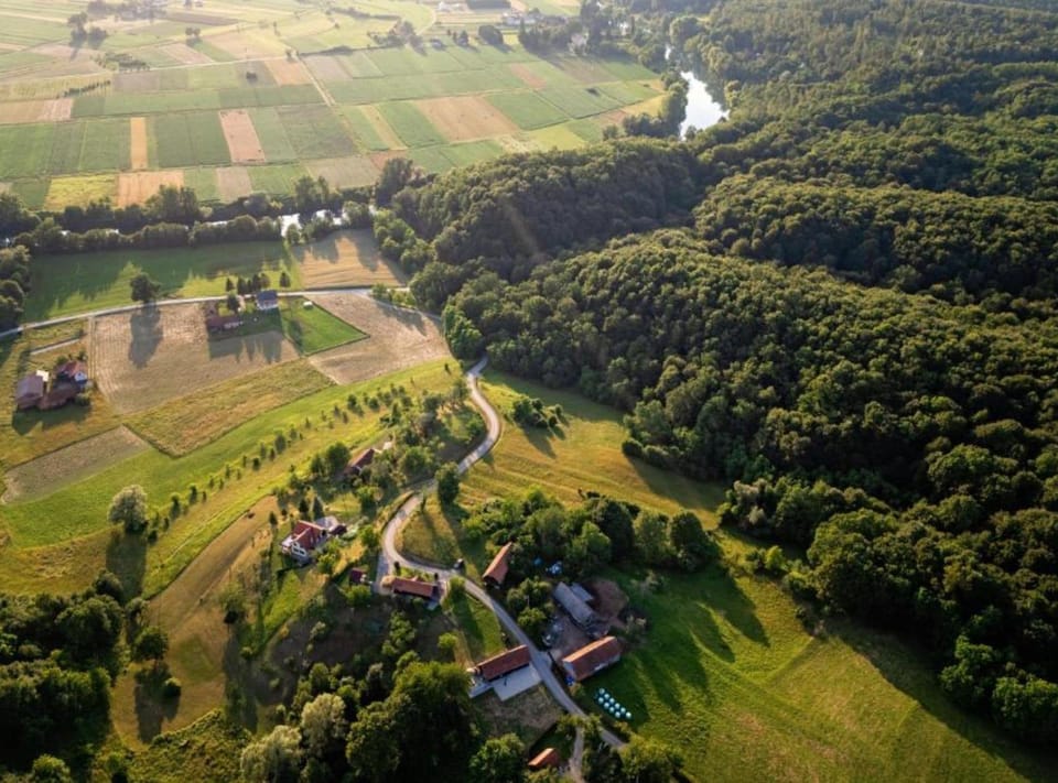 House (Domus Aurorae - With River and Mounta) | View from property