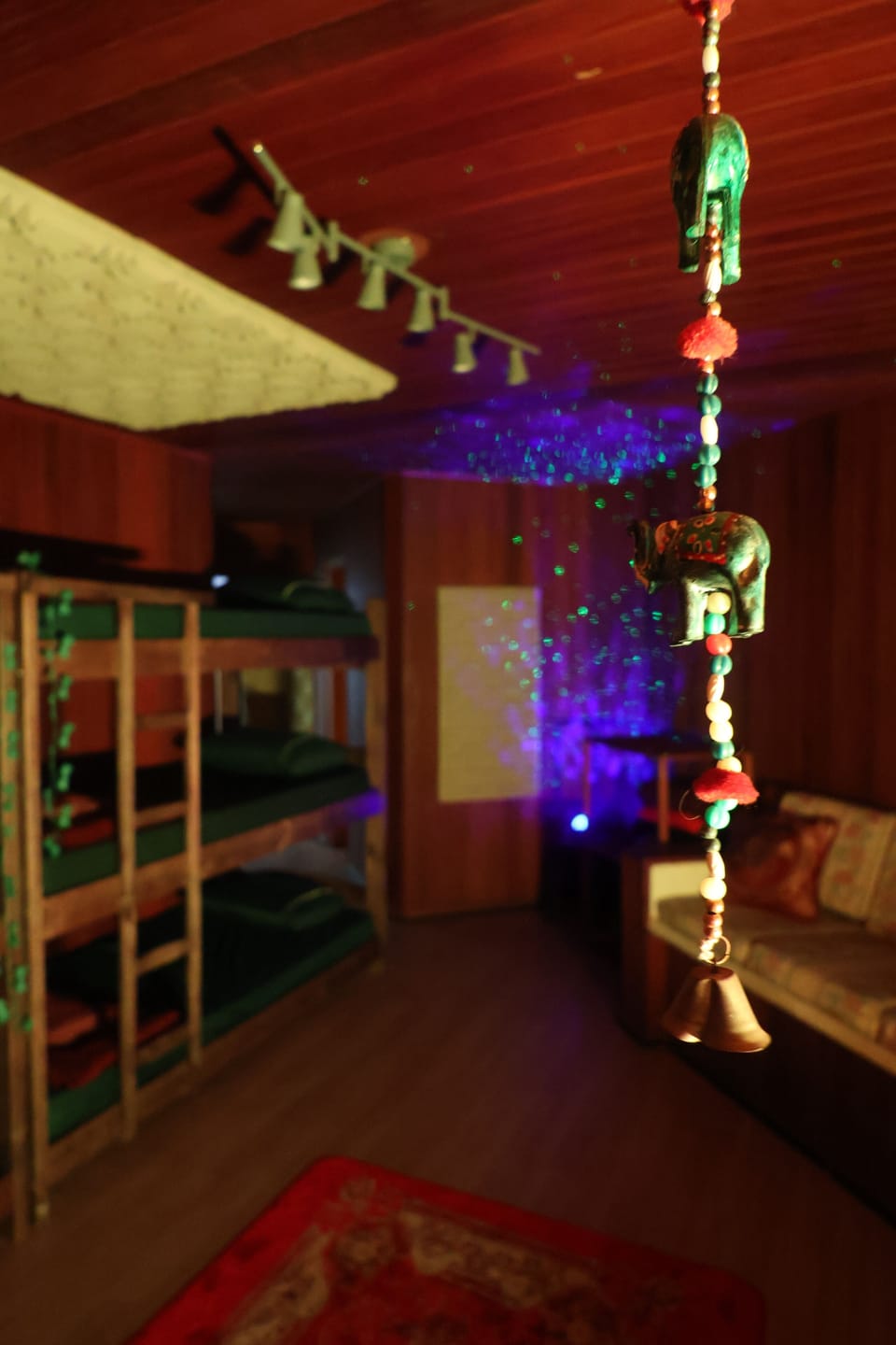 Room (1 Bed in Shared Dormitory) | Interior