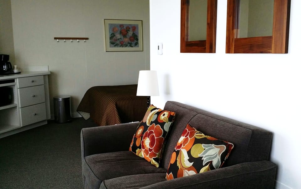 Studio, 1 Queen Bed, Ocean View | Living area | 32-inch flat-screen TV with cable channels, TV, DVD player