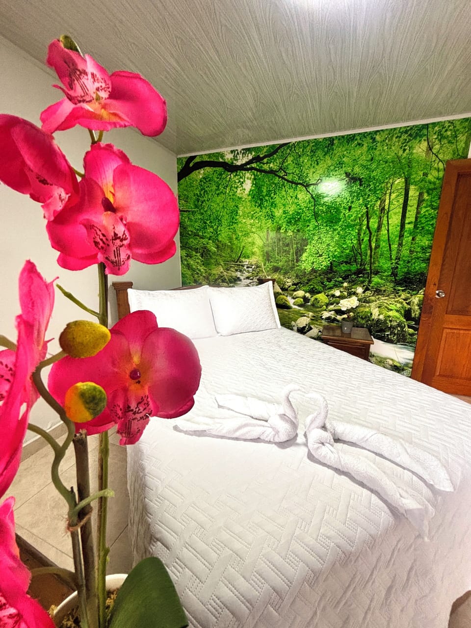Double Room | Blackout drapes, WiFi (free)