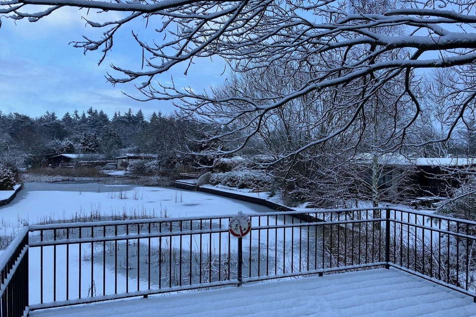 View from Holiday Home [winter]