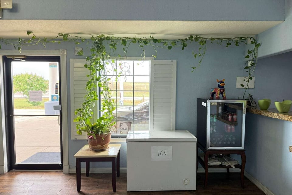 Entrance / Reception