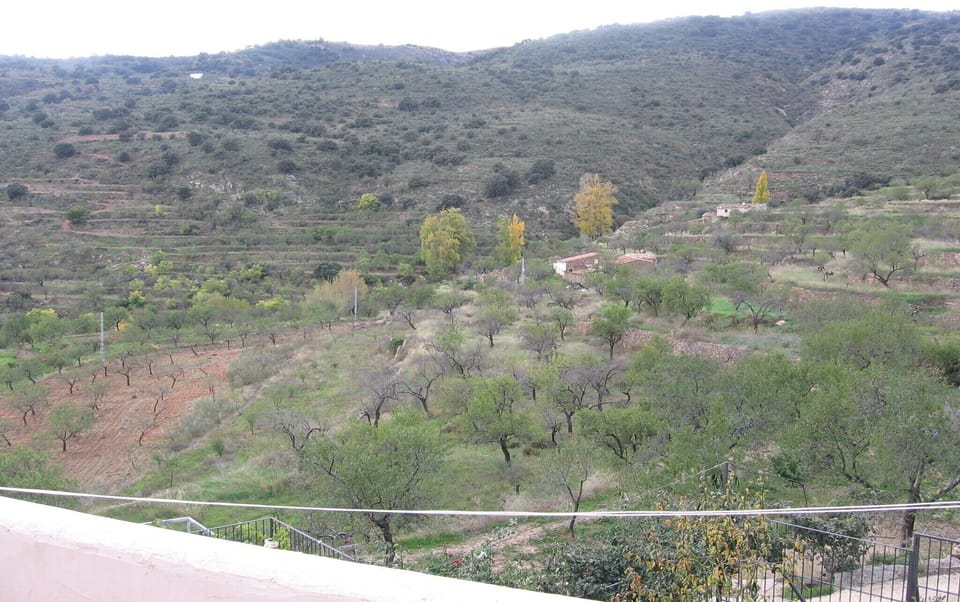 Immediate Surroundings [summer] (<1 km)