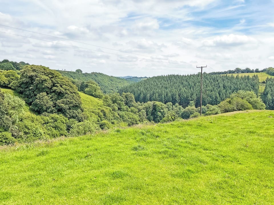 View | Kiri - West Hollowcombe Farm, Dulverton